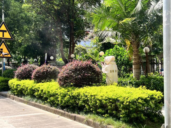马蜂筑巢顶峰期 PP电子游戏专职消防一个月摘除42个扰民蜂巢