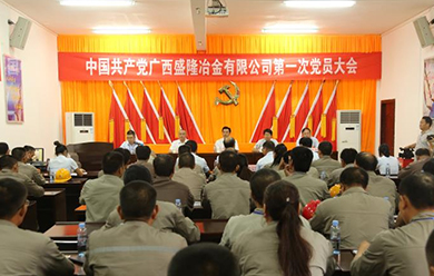 PP电子游戏第一次党员大会暨党委成立大会成功召开